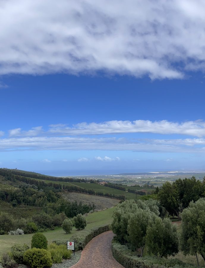 Weintasting in Stellenbosch