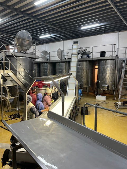 Rotwein Menschenkette